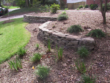 Front yard - 2005