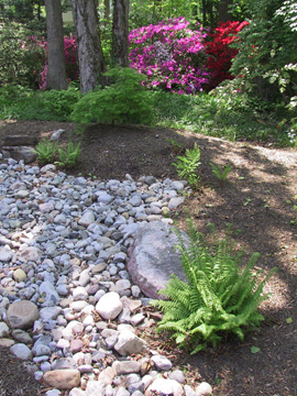 Back yard - 2005, "streambed" & Japanese Maple