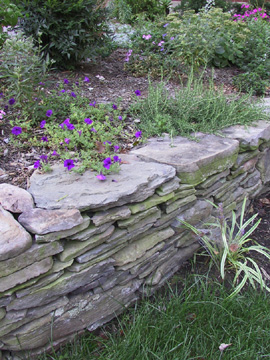 Front yard - 2005