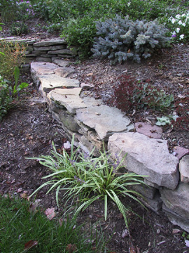 Front yard - 2005