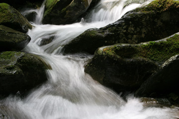 Flowing water, Cedar Run, Shendoah National Park