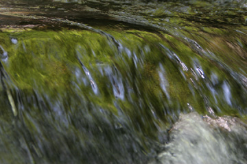 Water over moss, Cedar Run, Shendoah National Park