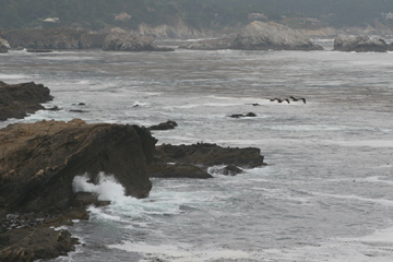 Point Lobos coastline