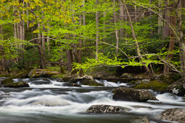 Middle Prong Little River, Great Smoky Mountains National Park, Tennessee