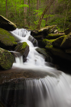 Waterfall, flowing into Little River, Great Smoky Mountains National Park, Tennessee