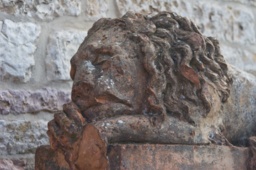 A lion in front of Santa Chiara