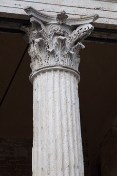 Santa Maria sopra Minerva, column