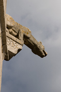 Gargoyle