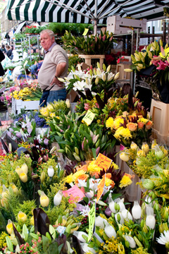 Flowers at the Columbia Road Market