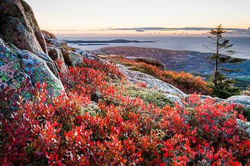 Sunrise colors on Cadillac Mountain, Acadia Natinoal Park, Maine