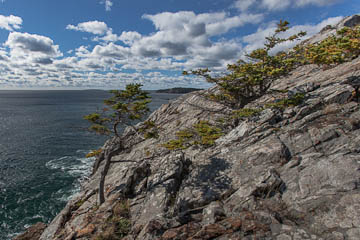 Great Head, Acadia National Park, Maine