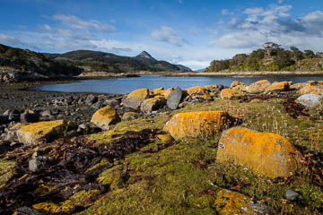 Rocks and brighly colored lichens, Bahia Wulaia, Tierra del Fuego, Chile