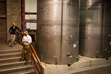 A view inside the Santa Rita Winery, Chile